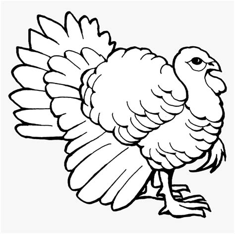 Turkey Clip Art Outline Black And White Transparent - Coloring Pages Of Turkey, HD Png Download ...