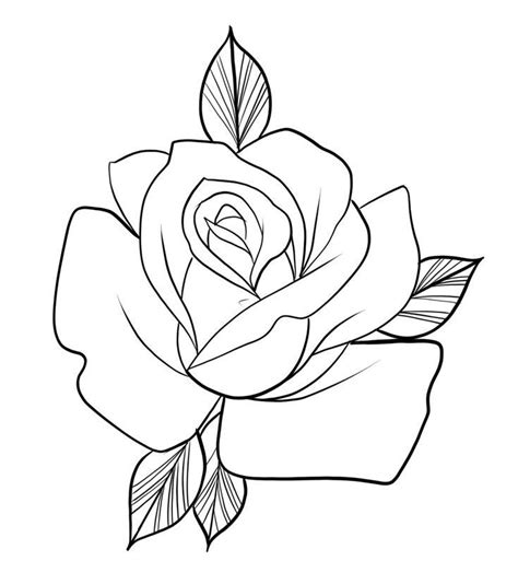 Beautiful Rose coloring page | Rose outline drawing, Roses drawing ...