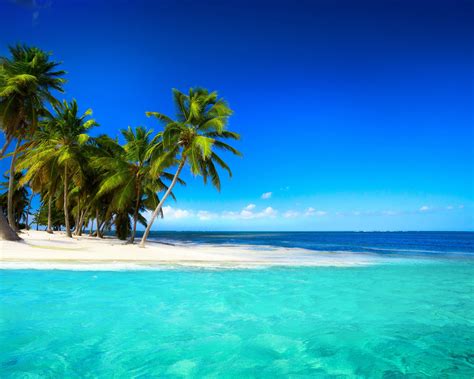 Paradise beach wallpapers