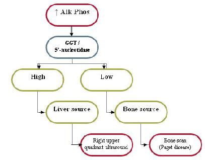 Elevated Alkaline Phosphatase... Can be caused by hepatobiliary disorders or diseases of the bon ...