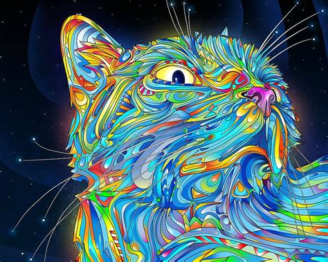 Rainbow Kitten Surprise HD wallpaper | Pxfuel