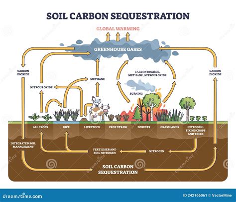 Soil Carbon Sequestration with Greenhouse Gases Absorption Outline ...