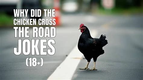 40 Dark “Why Did The Chicken Cross The Road?" Jokes