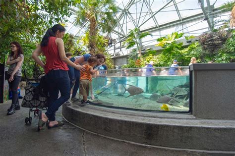 Chattanooga Aquarium: 45+ Essential Things to Know BEFORE Going