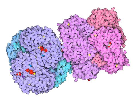 Molecular Blobs on Twitter: "2WME: Crystallographic structure of ...