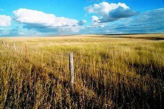 Landforms: What do the Interior Plains look like?