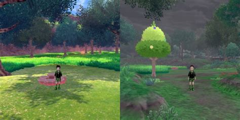 Pokemon Sword & Shield: 10 Best Areas To Explore For Grass-Types