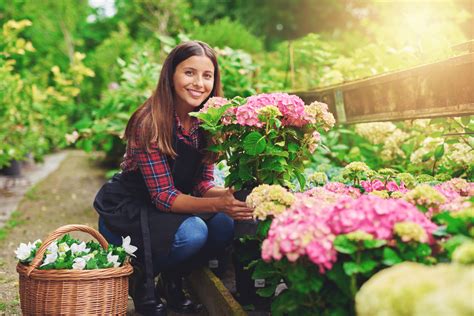 Must-have Low Maintenance Shade Plants