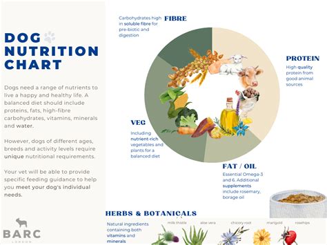 A Dog's Nutrition Chart, Feeding & Diet Guide | Barc London