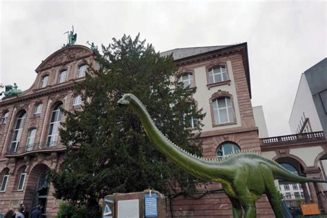 Senckenberg Museum Frankfurt – Frankfurt mit Kids