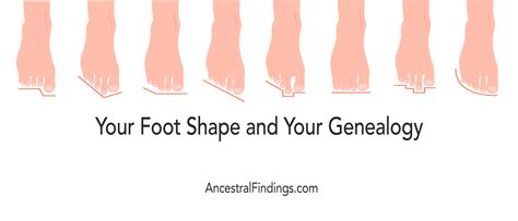 Your Foot Shape and Your Genealogy | Ancestral Findings