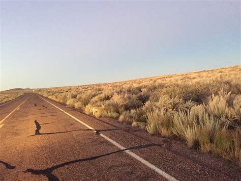 New Mexico & Arizona - Our First Big Road Trip — Kathryn Trattner