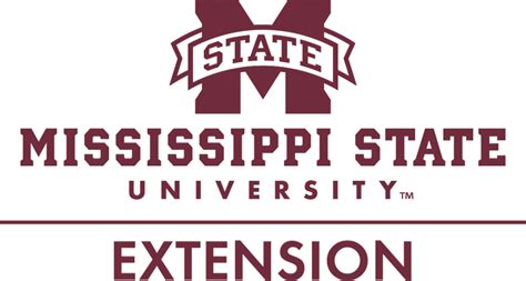 Flood coping skills class and more from MSU Extension - Vicksburg Daily ...