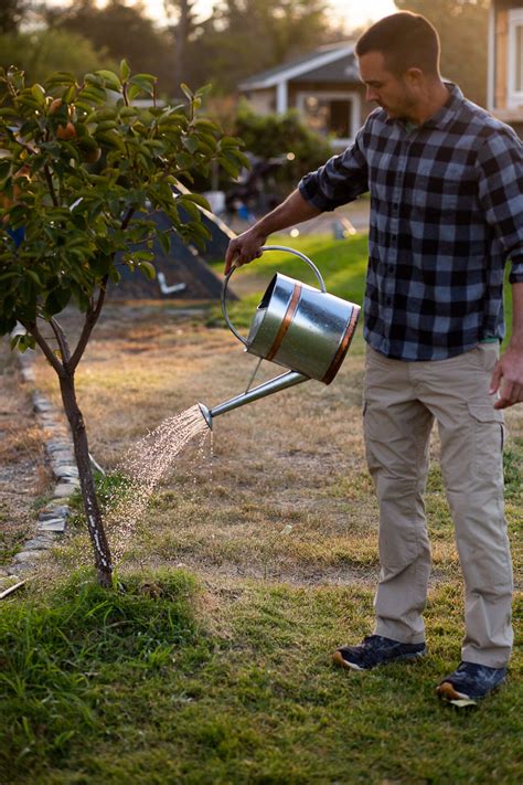 What is Compost Tea? Plus, How to Make it. - GREY & BRIANNA