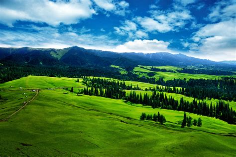 夏季避暑旅行目的地，中国最美草原推荐_季节