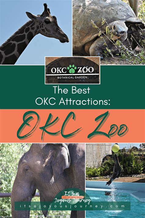 The Best OKC Attractions-OKC Zoo & Botanical Garden | It's A Joyous Journey