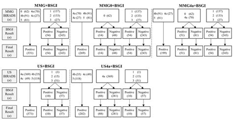 The subgroups of MMG and US (BSGI, breast-specific gamma imaging; MMG ...