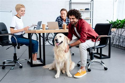 Benefits Of Pets In The Workplace - Pets Retro