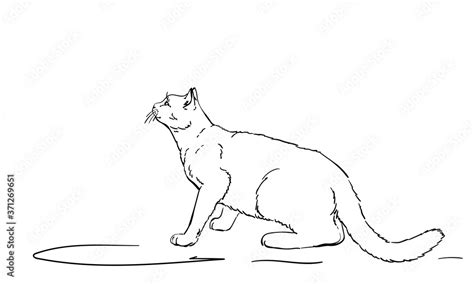 Drawing of white cat furtively looking up, side view. Hand drawn ...