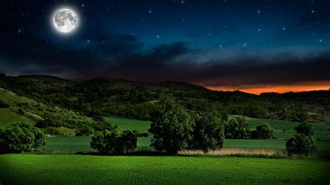 landscape, full moon, meadow, tree, moonlit, grassland, moon, 4K, field, night sky, night ...