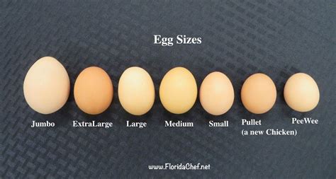 Egg Size Chart for Culinary Professionals