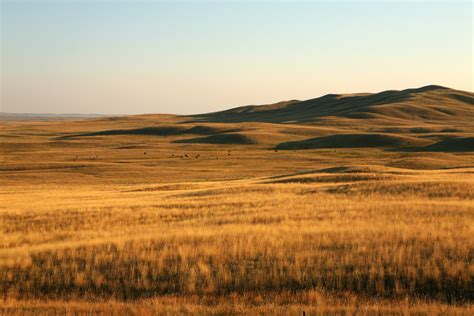 great-plains-sunrise-montana-glacier-national-park - Photos by Amanda Wilson