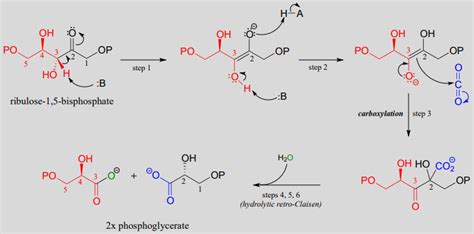 12.6: Carboxylation - Chemistry LibreTexts