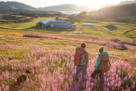 Hiking in Greenland's robust nature - [Visit Greenland!]