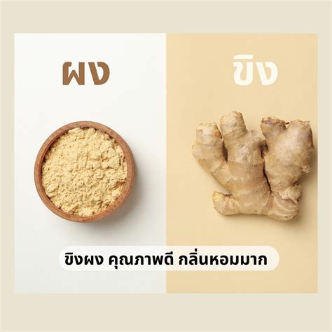 ขิงผง จากขิงแก่ คุณภาพเยี่ยม ไม่แป้ง ไม่น้ำตาล 100g Ginger Power | LINE SHOPPING