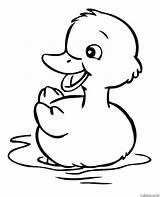 Coloring Pages Of A Duck sketch template