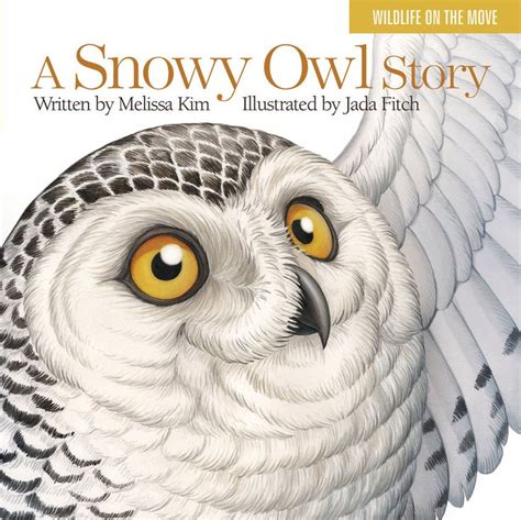 A Snowy Owl Story by Jada Fitch [©2014] | Snowy owl, Owl, Owl books