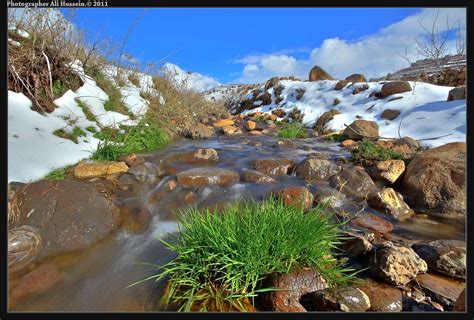 Nature in Syria | Nature in Syria | علي الحسين | Flickr