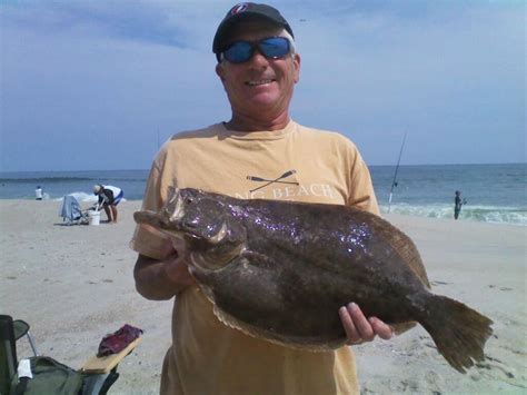 Southern Flounder (Paralichthys lethostigma) - Ocean Info