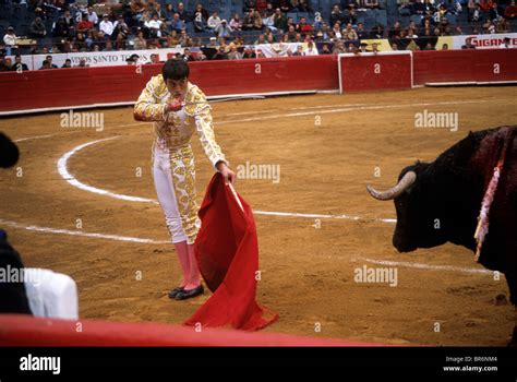 A matador and bull in Mexico City Bullfight Stock Photo - Alamy