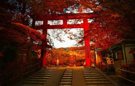 Wallpaper autumn, gate, Japan, ladder, Japan for mobile and desktop ...