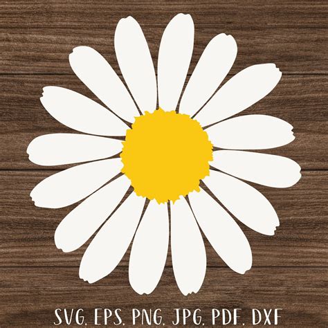 Daisy bundle svg Flower svg Daisy monogram flower decal Daisy png ...