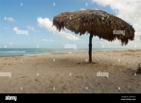 The beach and pier in Sisal, Mexico Stock Photo - Alamy