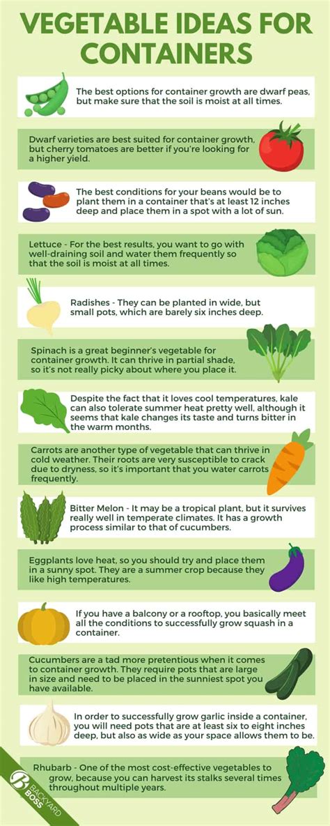 Everything You Need to Know About Growing Vegetables in Containers ...