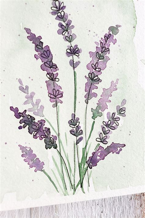 How to Draw Lavender with Watercolor Techniques - The Painted Pen ...