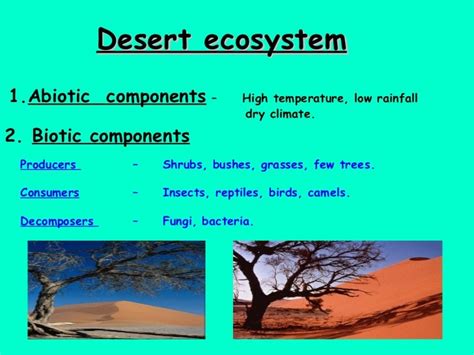 Ecosystem Concepts