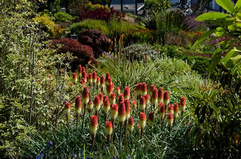 at the Mendocino Coast Botanical Gardens | Taken at the Mend… | Flickr