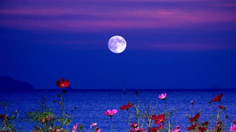 RETRO KIMMER'S BLOG: FULL FLOWER MOON: MAY 7 2020