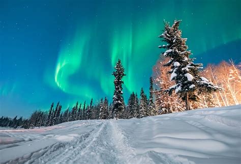 Chena Hot Springs Aurora Viewing Package from Fairbanks