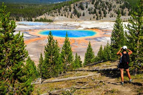 Where to Stay in Yellowstone National Park - The Crazy Tourist