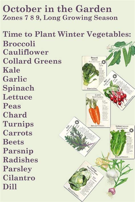 Winter Garden | Fall garden vegetables, Winter vegetables gardening ...