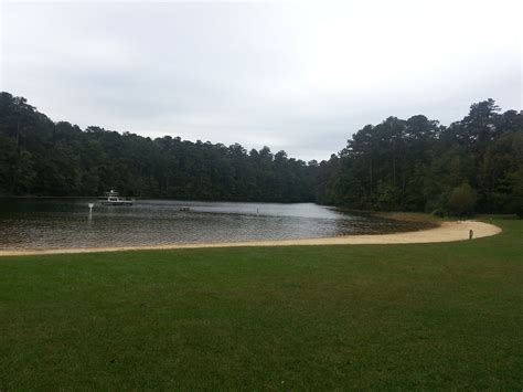 Cliffs of Neuse State Park, NC | State parks, Park, Outdoor