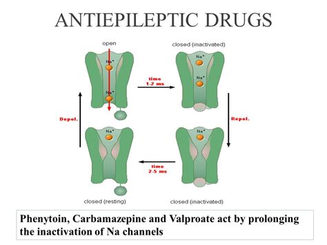 Carbamazepine - Stepwards