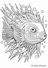 Kugelfisch Ausmalbild » Gratis Ausdrucken & Ausmalen Artus Art sketch template