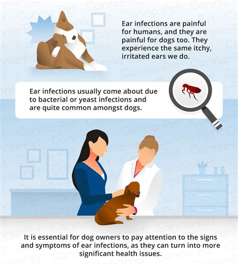 What Are Signs Of Ear Infection In Dogs