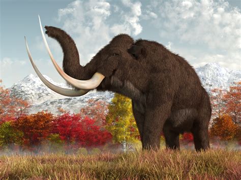 Ancient mammoths survived longer than initially thought - Earth.com